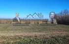 Teren 5000 mp, ieșire din Tecuci, după Peco Gălbenuș - 3