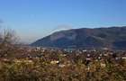 Teren 6,874mp Alexandru cel Bun / Strada plopusor - 16