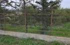 LIVADA  DE VANZARE FOCSANI-DUMBRAVITA  1,8  HA - 5