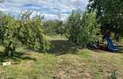 GM1731 Casă  în Ogrezeni – Proprietate premium - 20