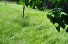 Casă de vânzare în  orașul Râmnicu Sărat, Județ Buzău - 3