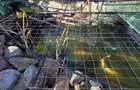 Casă cu etaj deosebită în Chișineu-Criș – un cămin creat cu suflet - 28
