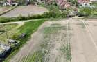 CIOLPANI, LOT 4.900 MP!
