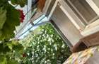 Casă 60 mp utili, teren 1.400 mp | Borșa (Răscruci), Cluj
