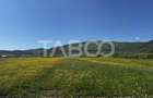 Teren de vanzare cu suprafata de 3000 mp in Poplaca zona industriala - 1