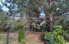 Casa de vanzare, 207 mp, 6000 mp teren, zona Coltesti - 4