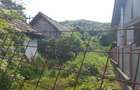 Casa demolabila in Runcu-Badeni - 10