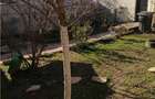 Casa spatioasa 4 camere cu gradina frumoasa langa Bucuresti, Glina - 3