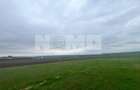 Teren De Vanzare 800mp I Moara, Suceava I Preț: 45.000 Euro - 4