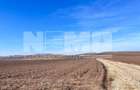 Vanzare I Teren I Suceava/Stroiesti I 100 ARI 2999 Euro/Ar - 8