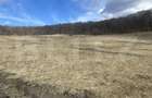 Teren extravilan de vanzare, 2,4 hectare, zona drumul Tarpiului - 1