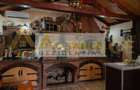 [OLTENITEI] Vila cu 7 camere - 325 MPU - Teren - 766 MP - 7