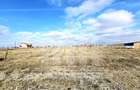 Teren intravilan | De vanzare | 509mp | 17ml deschidere | Oarda de Sus - 2