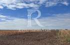 Teren extravilan | Chisirid | Bihor - 3