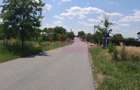 DE VANZARE 2 LOTURI LIPITE (TOTAL 16.500 MP) IN SAT TEISORI (GR) - 9