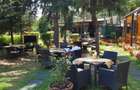 Spatiu  comercial -Parc Herastrau - 6