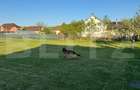Teren intravilan de vanzare, 1500 mp - Bistrita - Parcelabil - 4