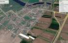 Caciulati Macesilor comercial 2500mp dezmembrabil - 8