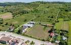 CRAMĂ PREMIUM DE VÂNZARE -60 HA- CONAC ISTORIC- PODGORIA DRĂGĂȘANI - 4