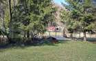 Casa de vacanta 4 camere, 100 mp, teren 768 mp, Dealu Mare, Comuna Rasca - 2