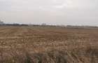 Teren Exclusiv 4.550 mp Ciolpani - Zona Narrative / Pădurea Snagov - 7