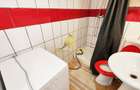 1 camera, loft, modern, proaspat renovat, curte, Grigorescu, Donath - 12