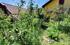 Casa unifamiliala 120 mp utili,  cu 477 mp teren, garaj, Dambul Rotund - 18
