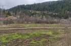 Teren intravilan, 22600mp, zona Manastirea Sucevita - 3