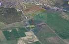 Teren intravilan 15.000 mp cu autorizatie I E85 Buzau - 1