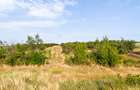 Parcele Teren Extravilan Livada si Pasune Lunca Corbului  Arges - 7