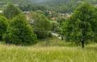 TEREN DE VANZARE VALEA DOFTANEI - 1