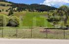 Teren extravilan,  5 hectare, Șaru Dornei - 6