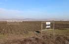 Teren 25.000 Mp-DN 15 Autostrada Transilvania - Mures - 7