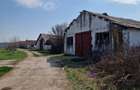 Fermă de vânzare 8 ha – Balș, județul Olt - 4