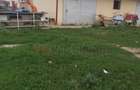 Ferma Zootehnică– Satchinez,  | 9,5 ha teren,vanzare sau schimb pentru jumatate - 10