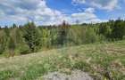 Teren 4048mp Campulung Moldovenesc, Strada Izvorul Alb, Suceava - 8