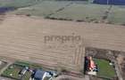 COMISION 0% TEREN CU POTENȚIAL -LOCALIZAT LA INTERSECȚIA DRUMUL CU PLOPI -CASTEL - 4