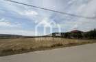 Teren Construibil 2.900 mp – Jucu de Mijloc, zona Panemar