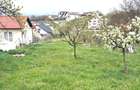 Teren Intravilan zona d-va 2 600mp cu toate utilitatile 100.000eur neg - 3