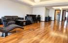 Luxury apartment Herastrau Park area - 3 rooms - 2