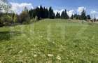 Teren 3200 mp, intravilan+extravilan, Vatra Dornei, str. Roșu - 1