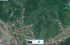 Teren Salatrucel Calimanesti intravilan cu curent 380V 3300mp - 9