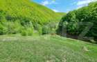 EXCLUSIVITATE! Teren extravilan, 5.400 mp, Comuna Iara, Valea Vadului - 3