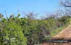 Teren intravilan Valea Domneasca,  localitatea Ghioroc - 2