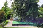 Dimineți pe ponton, seri la piscină – viața la Snagov - 13