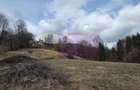 Teren intravilan de vanzare in Valea Doftanei - 1
