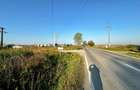 Vanzare teren 10.000mp Calea Surii Mici, direct de la proprietar! - 8