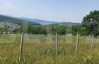 Teren extravilan de 1000 mp, situat pe strada Ghinzii - 8