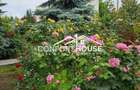 Vila D+P+E+M, teren 898mp, piscina, IANCU NICOLAE-Cambridge School - 5