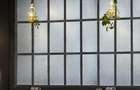 Restaurant P+1 | Universitate | Ultracentral | Terasa 140 mp - 9